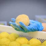gastronomia per horeca, fornitura gastronomia ristoranti, alberghi, piatti pronti per ristoranti, hotel, mense